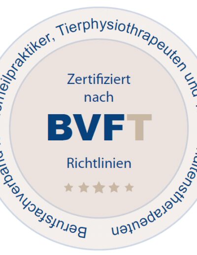 BVFT