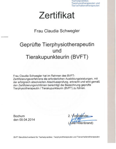 BVFT-Tierphysiotherapeutin-Tierakupunkteurin