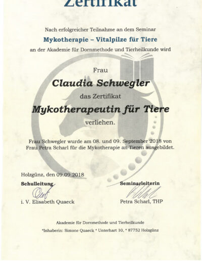 Mykotherapie