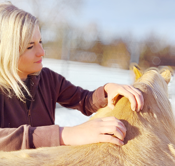 Claudia_Schwegler-Tiertherapeutin-Pferdephysiotherapeutin-Osteopathin-Therapie-Pferde_2