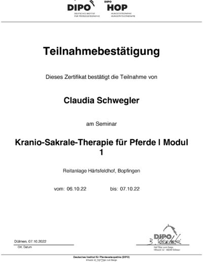 Dipo-Kranio-Sakrale-Therapie-1
